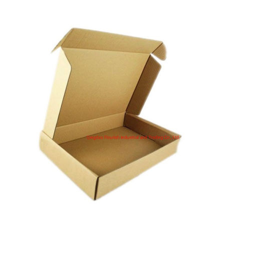 Boîte d'emballage de hot-dog écologique en papier kraft de qualité alimentaire
