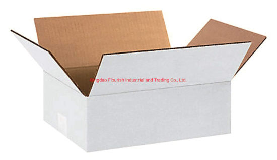 Boîte de carton ondulé blanc classique pour les canettes marinées Emballage